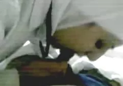 همسر سوپر سکس خارجی لعنتی